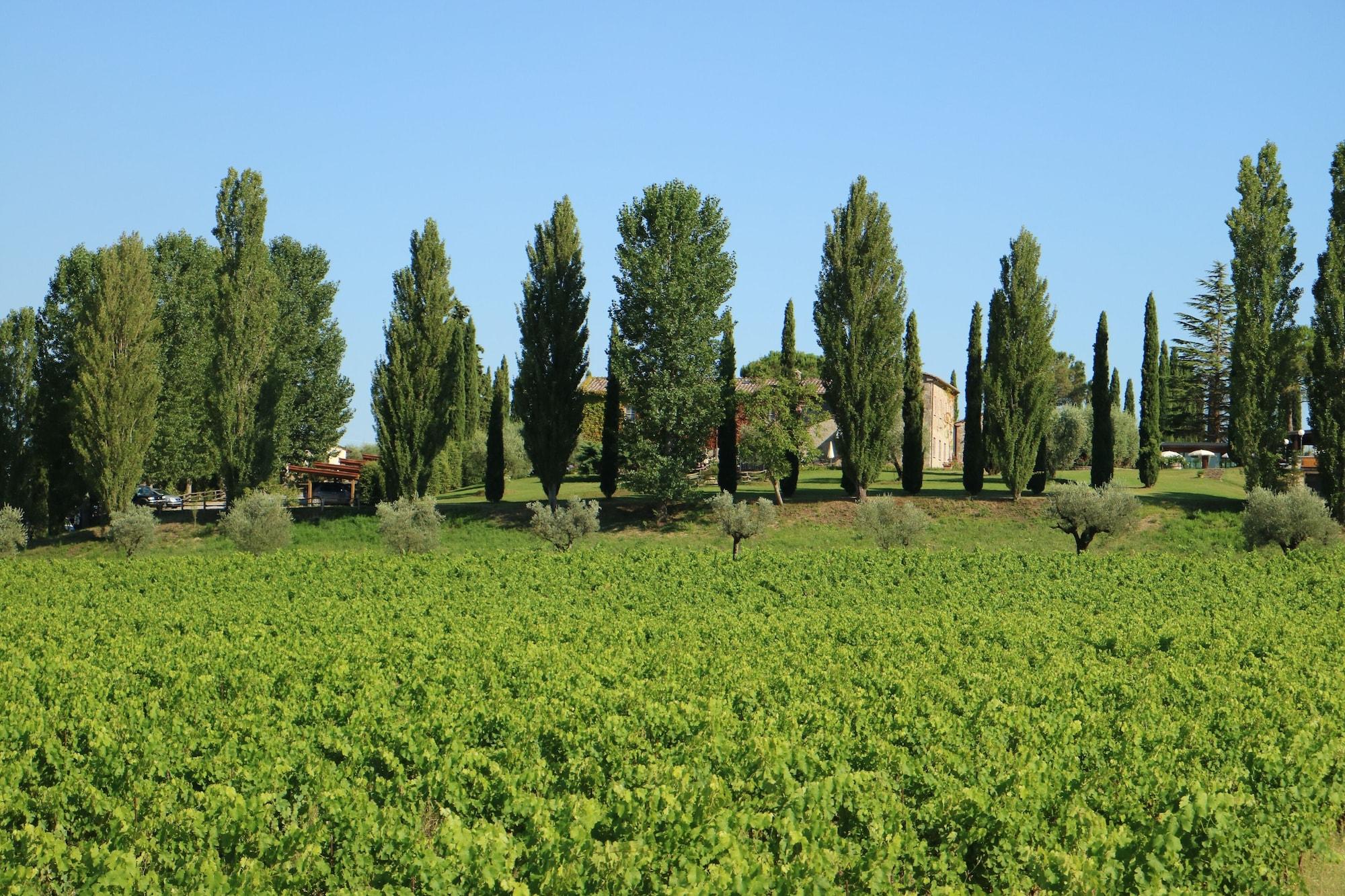 Agriturismo La Sovana Sarteano Exteriör bild