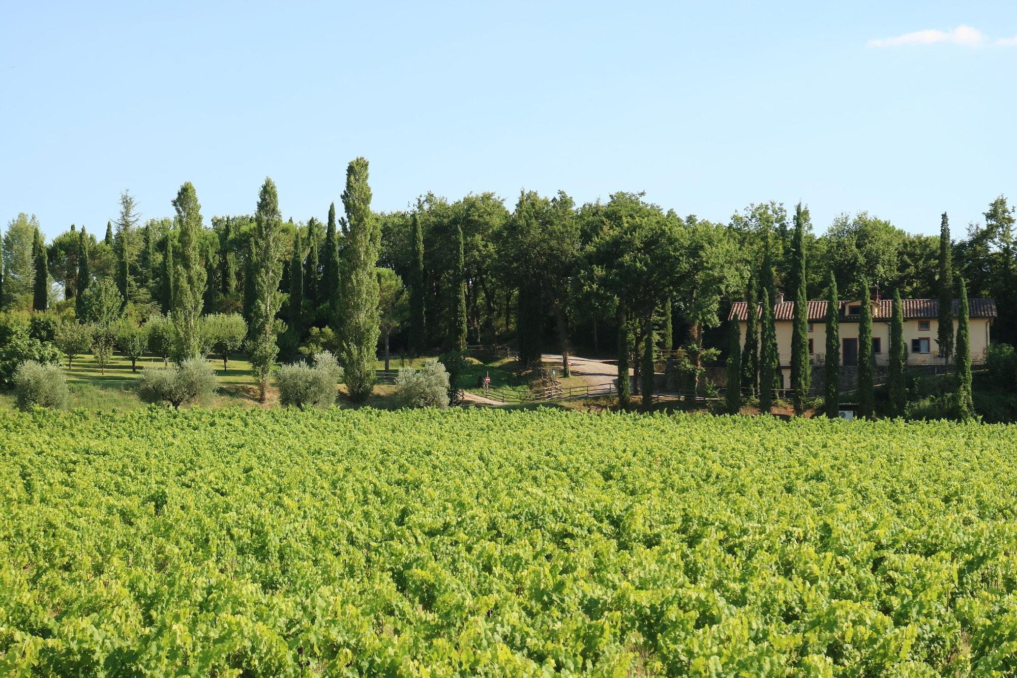 Agriturismo La Sovana Sarteano Exteriör bild